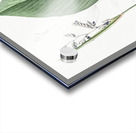 Powdery alligator-flag illustration  Acrylic print