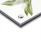 Lily of the valley illustration  Acrylic print