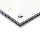 Tofield asphodel illustration  Acrylic print