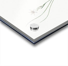 Snowdon lily illustration  Acrylic print