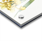 Iris Monnieri illustration  Acrylic print