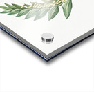 Angular solomon seal illustration  Acrylic print