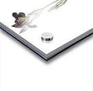 Dingy flag iris illustration  Acrylic print