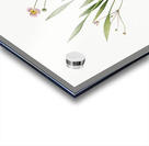 Lesser water-plantain illustration  Acrylic print