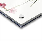 Sword lily illustration  Acrylic print