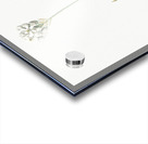 Chincherinchee illustration  Acrylic print