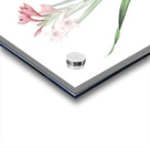 Sword lily illustration  Acrylic print