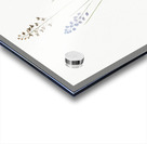 Autumn squill illustration Acrylic print