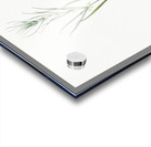 Siberian solomon & seal illustration  Acrylic print