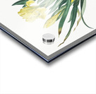 Crimean iris illustration  Acrylic print