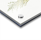 Adam needle illustration  Acrylic print