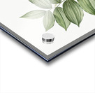 King Solomon seal illustration  Acrylic print