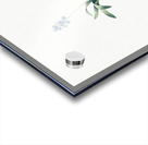 Scilla lingulata illustration  Acrylic print