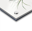 Silvery crocus illustration  Acrylic print