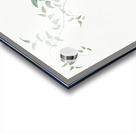 Bridal creeper illustration  Acrylic print