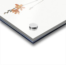 Mossel bay tritonia illustration  Acrylic print