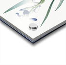 Tall bearded iris illustration  Acrylic print