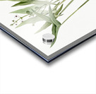 Arrowhead illustration  Acrylic print