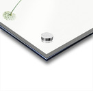 Victory onion illustration  Acrylic print