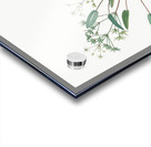 Starfruit illustration  Acrylic print