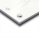 Wild Onion illustration  Impression Acrylique