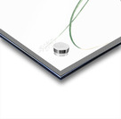 Roman hyacinth illustration  Acrylic print