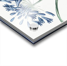 African lily illustration  Acrylic print