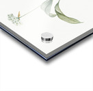 Paradise lily illustration  Acrylic print