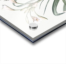 Malgas lily illustration  Acrylic print