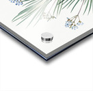 Blue stars illustration  Acrylic print