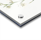 Painted lady illustration  Acrylic print