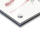 Latin American lady orchid illustration  Acrylic print