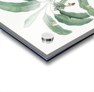 Banana illustration  Acrylic print