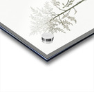 Giant cabuya illustration  Acrylic print