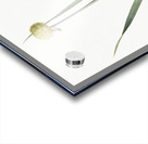 Lopsided onion illustration  Acrylic print