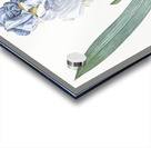 Josephine & lily illustration  Acrylic print