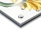 Banana illustration  Acrylic print