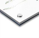 Eriospermum lanceaefolium illustration  Acrylic print