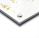 Freesia illustration  Acrylic print