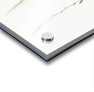 Blazing star illustration  Acrylic print