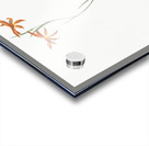 Gladiolus watsonius illustration  Acrylic print