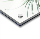 Pineapple illustration  Acrylic print