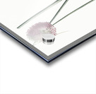 Round-headed leek illustration Acrylic print