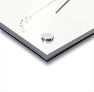 Species daffodil illustration  Acrylic print