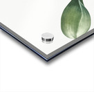 Hedgehog lily illustration  Acrylic print