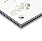 Turquoise ixia illustration  Acrylic print