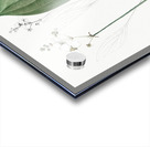 Bulltongue arrowhead illustration  Acrylic print