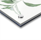 Dayflower illustration  Acrylic print