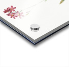 Corn lily illustration  Acrylic print