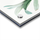 Autumn crocus illustration  Acrylic print